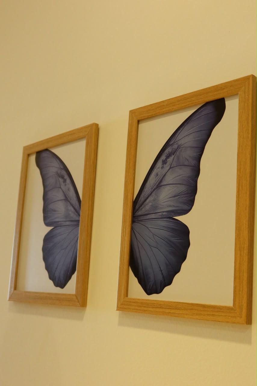 Quadros decorativos com asas de borboleta